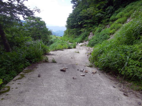 巣原峠への林道