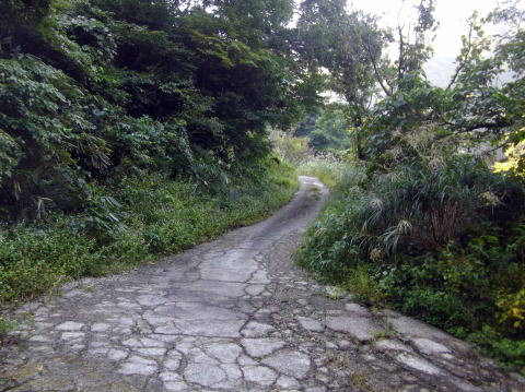 荒島岳登山口への林道