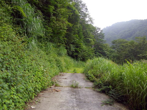 巣原峠への道
