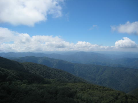 部子山山頂からの眺め1