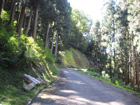 森林基幹林道 今庄・池田線 3