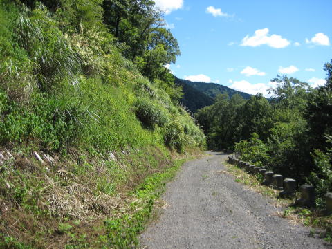 森林基幹林道 今庄・池田線 5